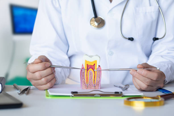 Best Urgent Tooth Repair  in Castle Pines, CO